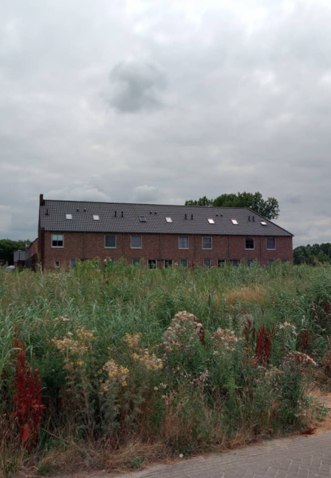 Dom — Meierijstad