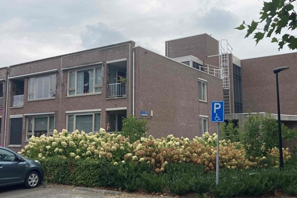 Plein 1969 46
