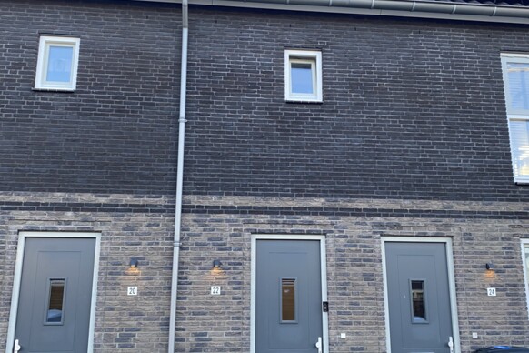 Bonte specht 22