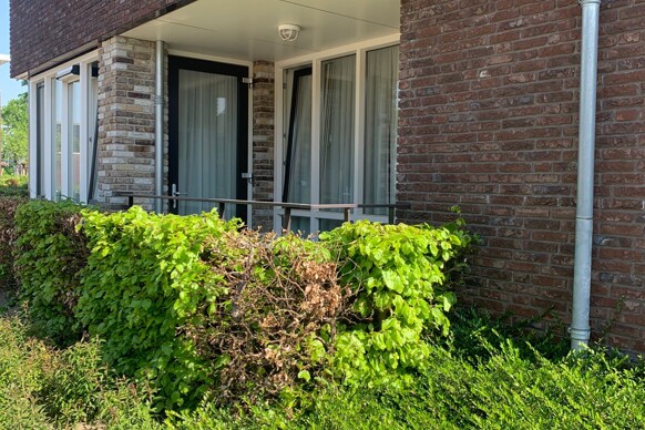 Jasmijnstraat 1-A