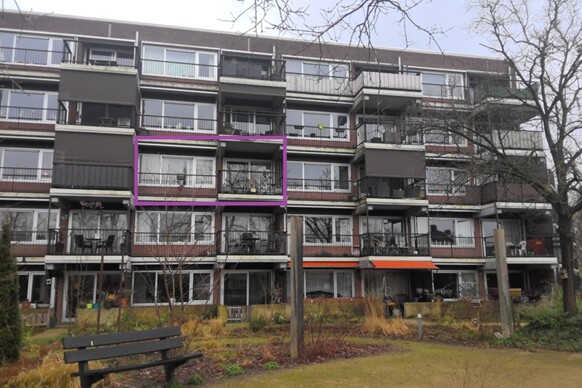 Sterrebos 285