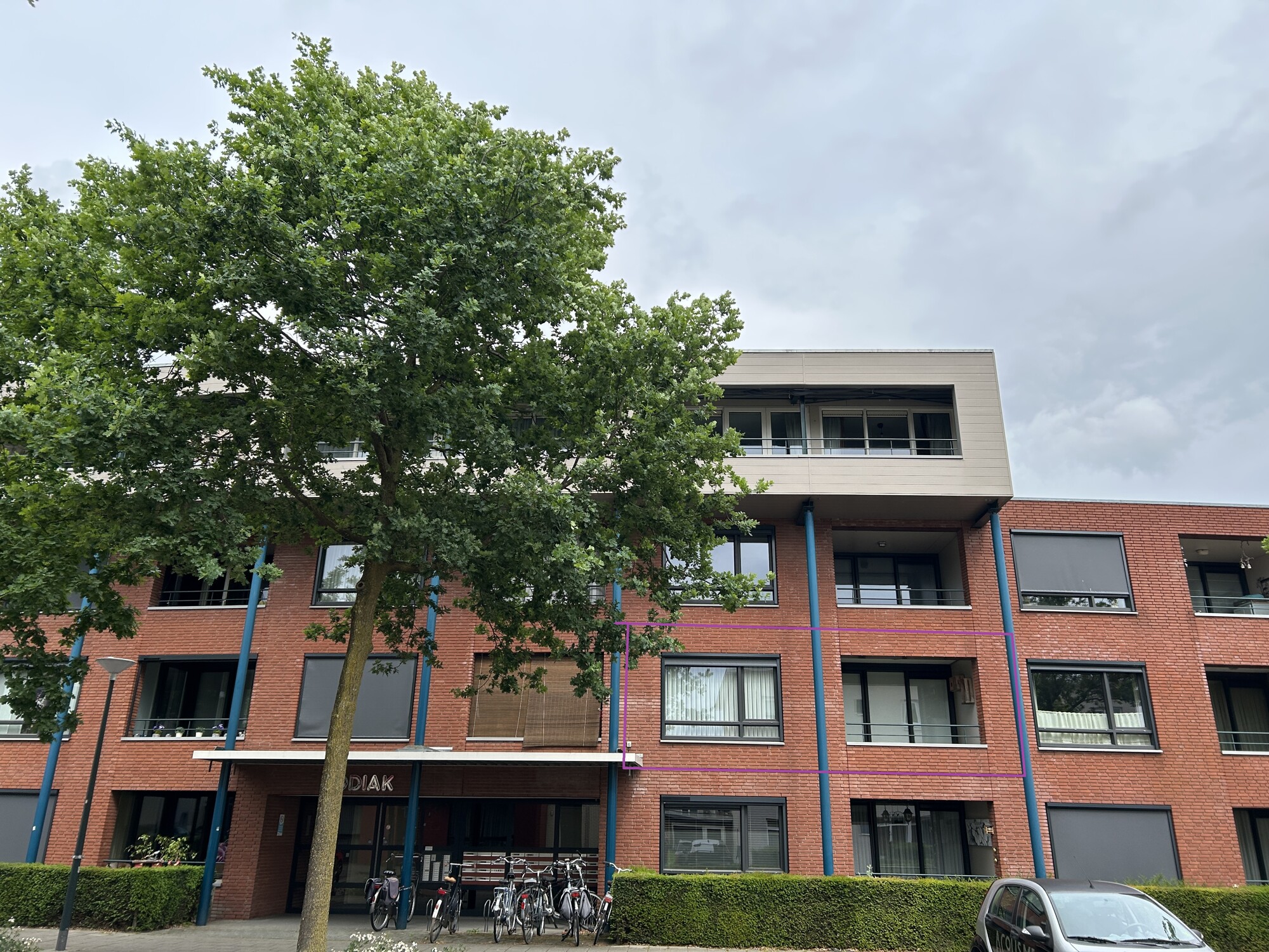 Dierenriem 29