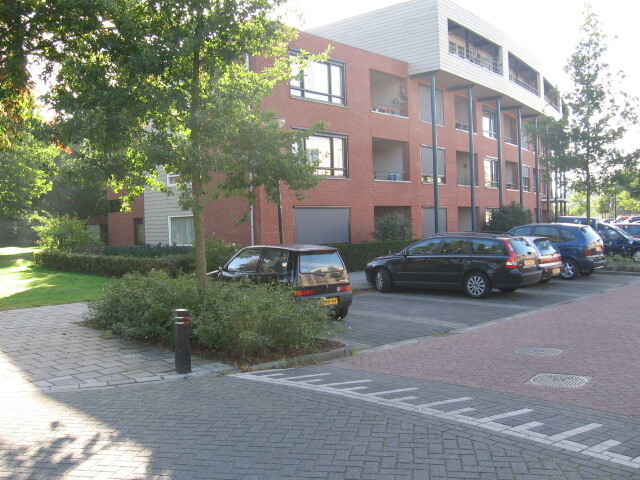 Dierenriem 19