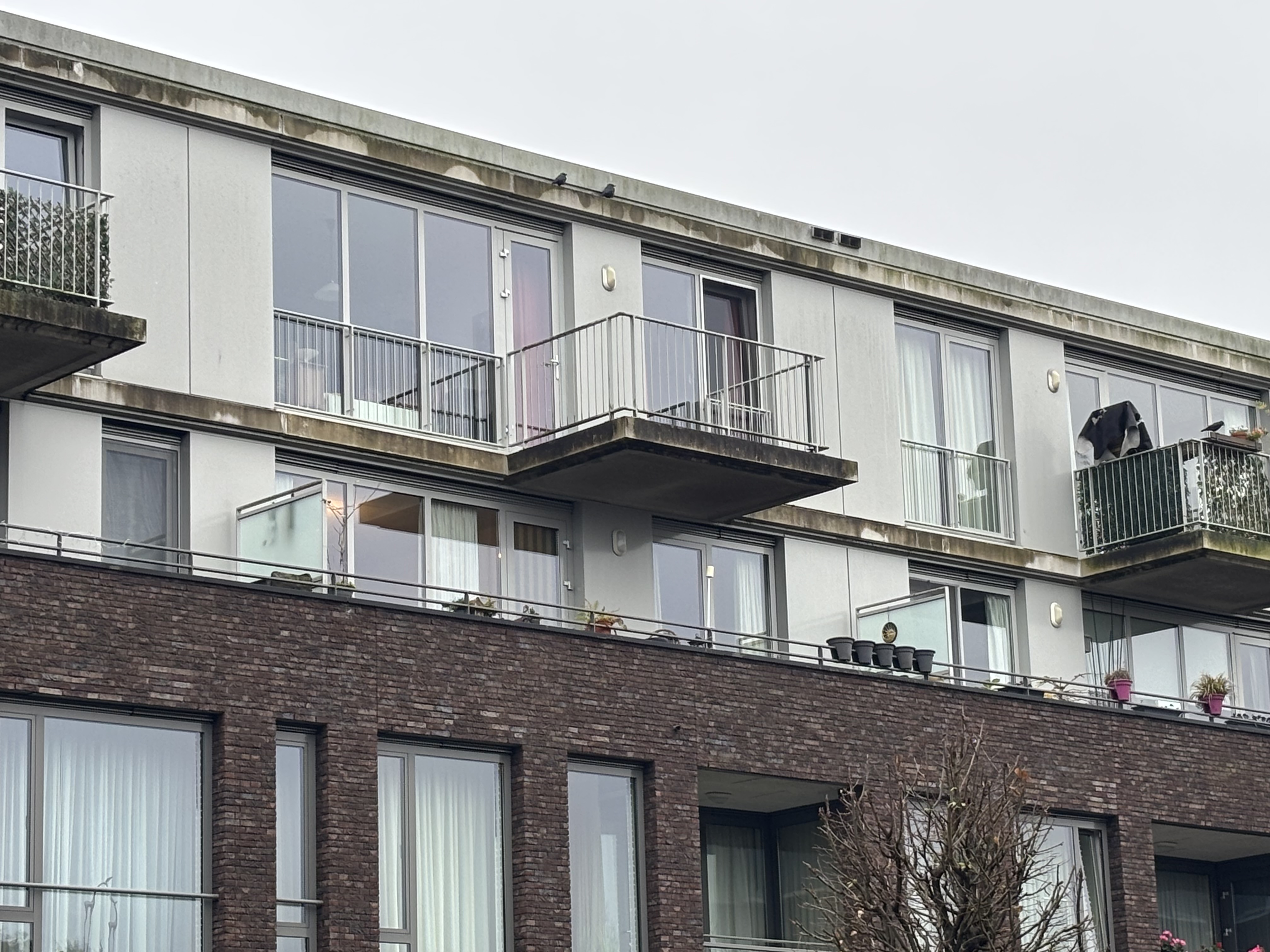 appartementen te huur op Molenstraat 217